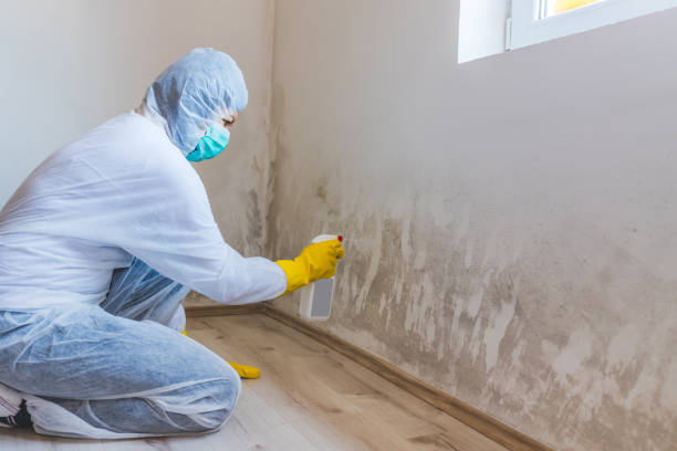 Licensed Mold Testing service in Owings, MD - WQB Mold Removal
