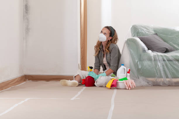 Reliable Mold Testing contractor in Owings, MD by WQB Mold Removal